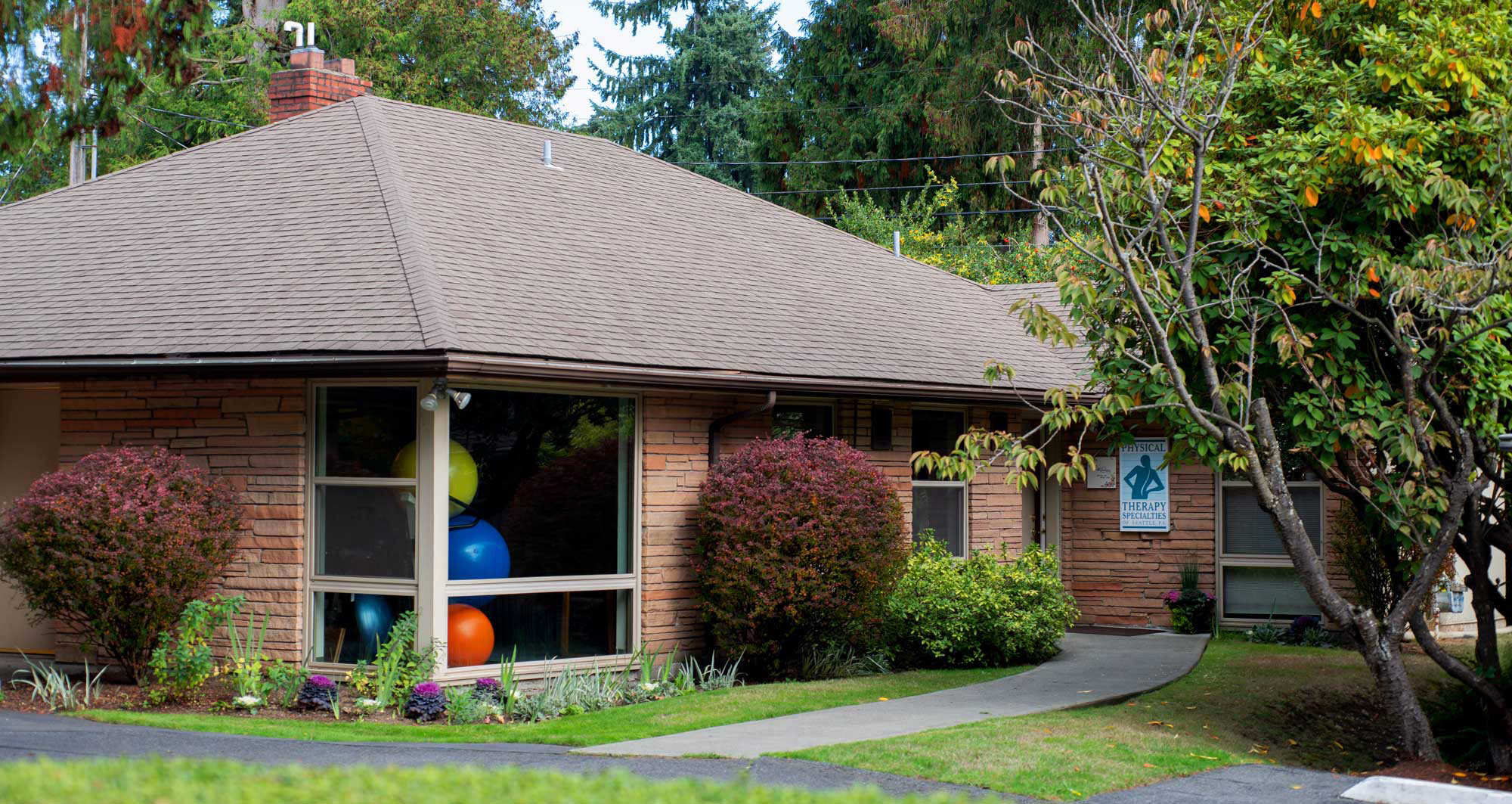 Physical Therapy Solutions